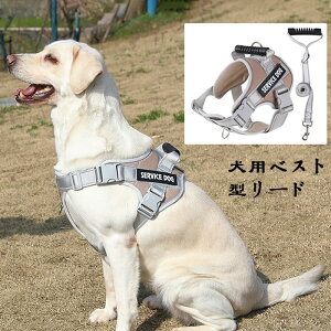 ̃[hxXgX^C^ё^S[fgo[uh[qn[lX̎U[v`F[