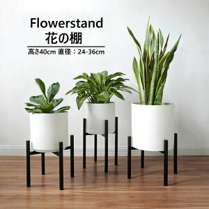 |bg X^h t[X^h  cm u S  ϗtA a - cm܂őΉ  Lk pr ACA Aؔ K[fjO bN  O ԑ v^[X