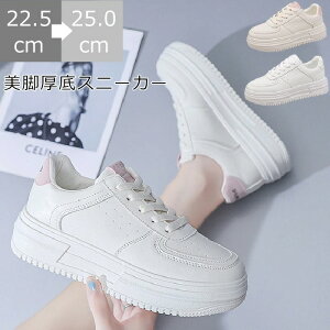 Xj[J[ fB[X [XAbv [Jbg EH[LOV[Y tbgXj[J[ {[Xj[J[ C RtH[g U[ ɂ ₷ n r y