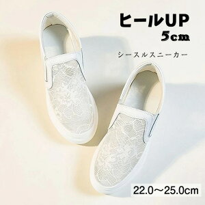 Xb| Xb| fB[X [Jbg TChSA [X ԕ hJ  V[X[ ʋC tbgV[Y Xj[J[ Xb| q[ cm Cq[Xj[J[ C
