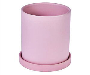 Aؔ 픫  󂯎Mt t ?F  v^[ A k  CeA   ϗtA TCY/FI (CG[,S CM)