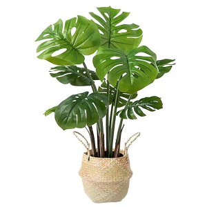 YYY@ lHϗtA Xe tFCNO[ G} CeA  b炸 lC  sv ͂Ȃ lH tFCNA