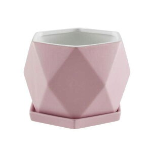 픫 Aؔ ?F   ϗtA Mt v^[  ꌊt  v^[ CeA Vv TCY/FI (O[,S)