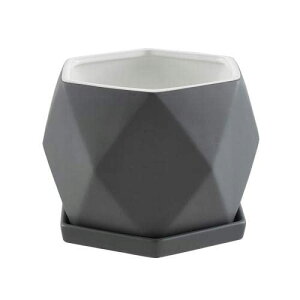 픫 Aؔ ?F   ϗtA Mt v^[  ꌊt  v^[ CeA Vv TCY/FI (O[,S)