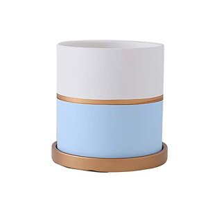 Aؔ 픫v^[  ~` ϗp 󂯎Mt  ϗtA A k  ʋC ItBX  x_ (17*17CM,uE)