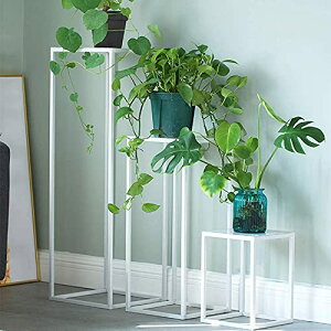 SA[gt[|bgz_[AAReiIrO[VFt\t@TChe[uoRj[tAX^ht[|bge[u,, * cm