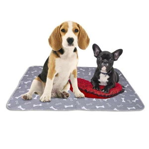 pbh F gC}bg 􂦂 ėp z  hV[g ybgV[c g[jOpbh ybg}bg