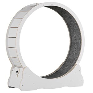 Lp񂵎 i{[]}V[ jO}V[ V ^s TCgzC[ L̃gbh~ LbgGNTTCYzC[ LXNb`{[h Lpi 