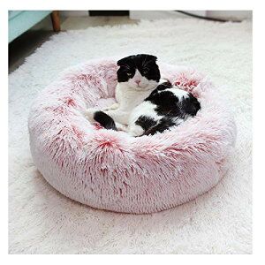 TVMALL pxbhLpxbhNbVEhs[L̑̑́A^̏^\tgKȌ̃\t@̃}bgXɓKA֐ߔJa炰AP邱Ƃł܂