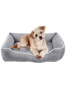 Skcoipsra  xbh 􂦂 pxbh ӂӂ ~ ^ ^ ybgxbh  Jh[^Cv  xbh  OJo[ O[