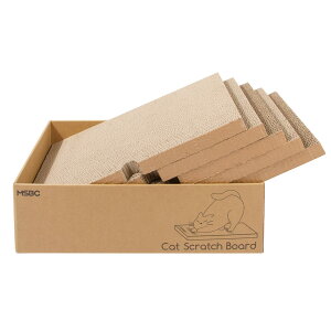 AFDAY L ܌ Lpi{[߂Ƃ ^ ʎgp\ Lxbhp  × . × . cm