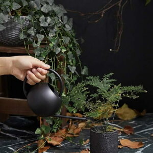 傤 XeX| 傤 ́AUƃOXpEgAUPg|bgẢԂ̐1L (Color : A)