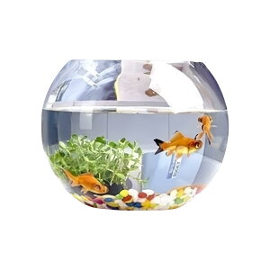  ^   eE  ꂽKX̋p̐ ~`̐k͔|̋p̐ ƒpT̐ p̐ ȋp̐ ی^ x