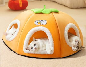 L xbh Lxbh gl Lgl  ybgxbh NbV \tg}bg  `^ybgxbh ` ^ ybgnEX LnEX L  Lp ~ 킢 ~ Ng