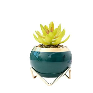 SIzlaho 픫A Z~bNAؔ S[hv^[ ~jAv^[ A|bg Z~bN~̓|bg Ap̃Z~bN|bg Itv^[ d̐Aؔ 