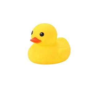 SIzlaho т␅VтɎg鏬ȉFAq̃XNC[YAq̂Av[Aq̃~NeB[Vbv̏ȑ蕨Amߋ  (Aq̎q)