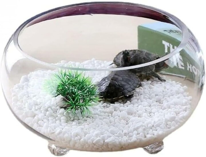 楽天市場】金魚水槽、ガラス製丸型、透明、亀魚ベタ、3本爪、厚型丸型 