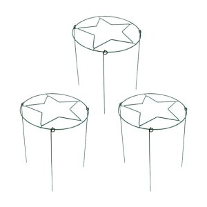  Ax ^t[ NC~Oz_[ g}g  K[f ACr[, S[f