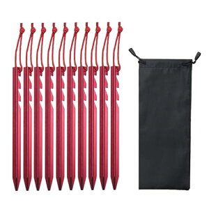 ̃egyOLvpnʃXe[N肵XpCNsNjbNK[fjOp, 