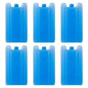 ACXpbN |[^u y ėp\ Ⓚ `{bNX N[[ t@~[ r[` AEghA nCLO sNjbNp