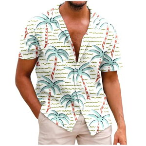 Vc Y  傫TCY  AnVc     gbvX   _炩 ʋC ĕ am J JWA y [EFA 񌳍L ݖh~ ʋ r[