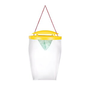 RoG΍ OpnGߊl | eʃnG RUܕt | ʎEK[fی