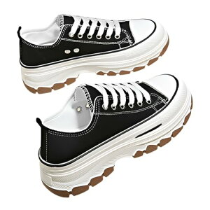 fB[X zXj[J[ INSlC  cm w t̂ `fUC ? o[ y ʋ U R[fBl[gR zCg K H