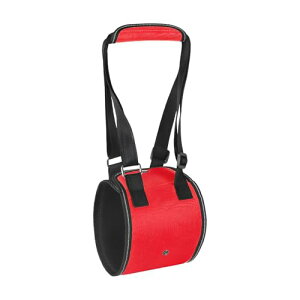 ypn[lXzfUC NbV ㎈⏕xgt Ki~/nrΉ Ki ގgp ybgpi VjAT|[g