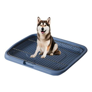 ygC h? ͂z^S SΉgC ݌vŐȒP Ah~ ϙf FI t[ ybgp