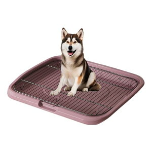 ygC h? ͂z^S SΉgC ݌vŐȒP Ah~ ϙf FI t[ ybgp