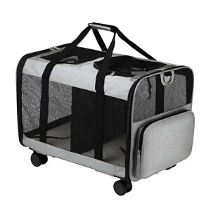 yybgL[ze É L⌢p sAEghAɓK