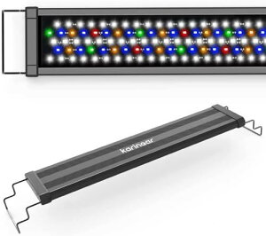 / ό [h F CM PSΉ 邳\ [hۑ cm CM zdl  Ϗ܋EMыp CM^ Lk̂ cmΉ ANAEpLDƖ 郂[h ^C}[@\t 