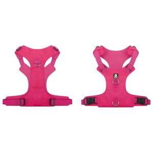 ybgpi `F[ TbJ[Ep^[ gNV 邢F hp` Nёf l AEghA