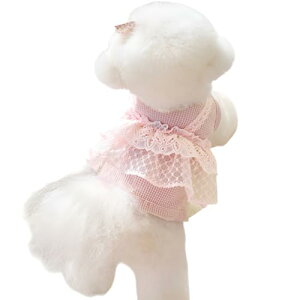 yybgz^XJ[gtėpyyʒʋCzfUCbtybgXJ[gp[eB[AEghAɓK