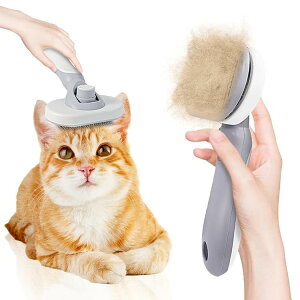 ybgLpіR[ vX`bNіڒEуR[ ybgLіR[Zbg