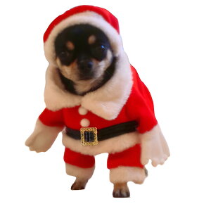 ybg̕ ̕  ybg̑̂̃CɃtBbg ybgZbg EEFA }`X^C Ch S gK zf[hX h