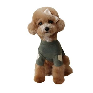 ̕ hbOR[g e͐ \tgŉK H~{gVc n[ghJXEFbgVc @ׂȎhJp^[ ?? ̐n іh~ ۉƒʋC p[eB[