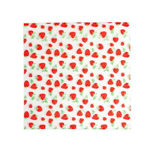 yϖ J[x[iqz  × cm ϔM h dqWEI[uΉ no[K[ ThCb`p t[hoXPbg~ p[eB[ ƒp