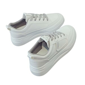 fB[XyXj[J[z X|[cV[Y ʋC ~ y t H LpX ʊw AEghA  ₷ K JWAV[Y