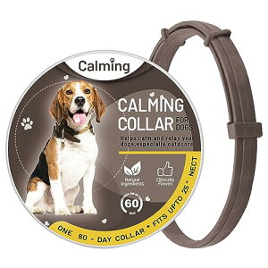 ̂߂̗ Î ̐S𗎂 tF s XgXy VRz ߉\Ŗh ʋC _炩pbh \tg VR ^ ^ ^