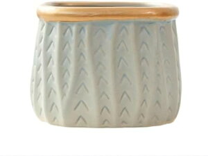 VvȒʋCƓ̐Aؔt포ȌÂY΂̐A|bg