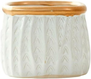 VvȒʋCƓ̐Aؔt포ȌÂY΂̐A|bg