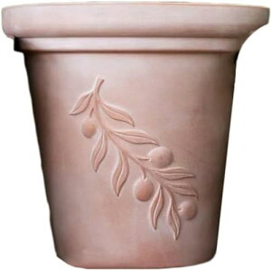 Aؔ INSc[gJ[̓픫 ϗtA  ϗtA̔  Aؔ  A Aւ ȐAؔ ~j K[fjO   y  ~j