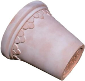 Aؔ INSc[gJ[̓픫 ϗtA  ϗtA̔  Aؔ  A Aւ ȐAؔ ~j K[fjO   y  ~j