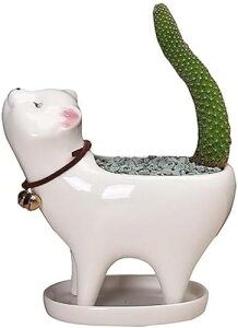 K[fjO u  Aؔ A L ObY T{e ~ϗtAKp  CeAG 퐻 ꌊt G a蕨