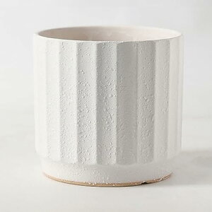 AeB[N Aؔ ȃCeA Ƃ̑ ϗtAAؔ t A|bg e Ԕ n[u ^Cv2 ؂ǂ T{e ʋC悢  Aؔ 