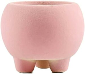 A Aؔ 퐻 ɐ ~j ew 킢 k  NGCeBu CG[ Vv | oRj[  u  ACfA rO fXN