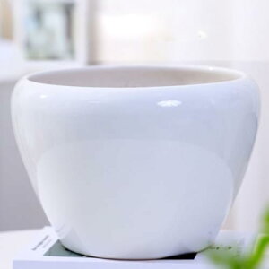 v^[^ 픫 [^ ^ pAؔ 23*18cm k Aؔ v^[ CeA Aؔ  pv^[ ^Cv15 ϗtAAؔ e t[x[X V