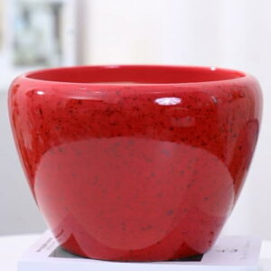 v^[^ 픫 [^ ^ pAؔ 23*18cm k Aؔ v^[ CeA Aؔ  pv^[ ^Cv15 ϗtAAؔ e t[x[X V