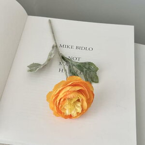   CeA  [ 1{ ͂Ȃ Q   ItBX ̓  a j JXj  EFfBO p[eB[ v[g ʐ^ A[gt